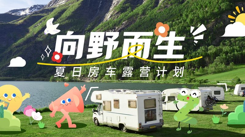 定制旅游与跟团游：安全性的多重考量